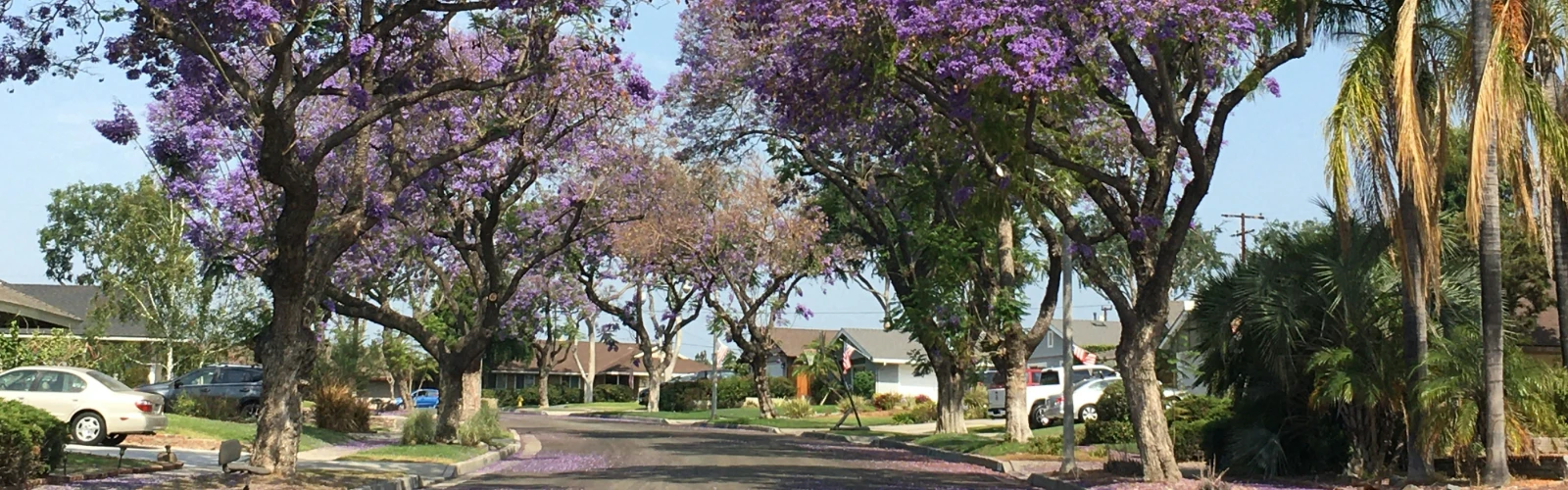 10 Things To Do In Fullerton