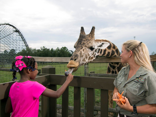 10 Things To Do In Valdosta