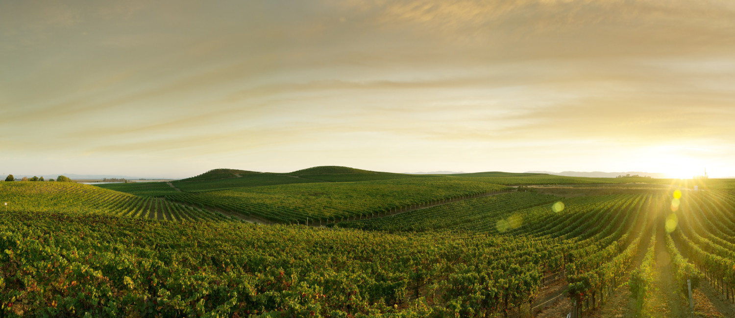 10 Things To Do In Petaluma