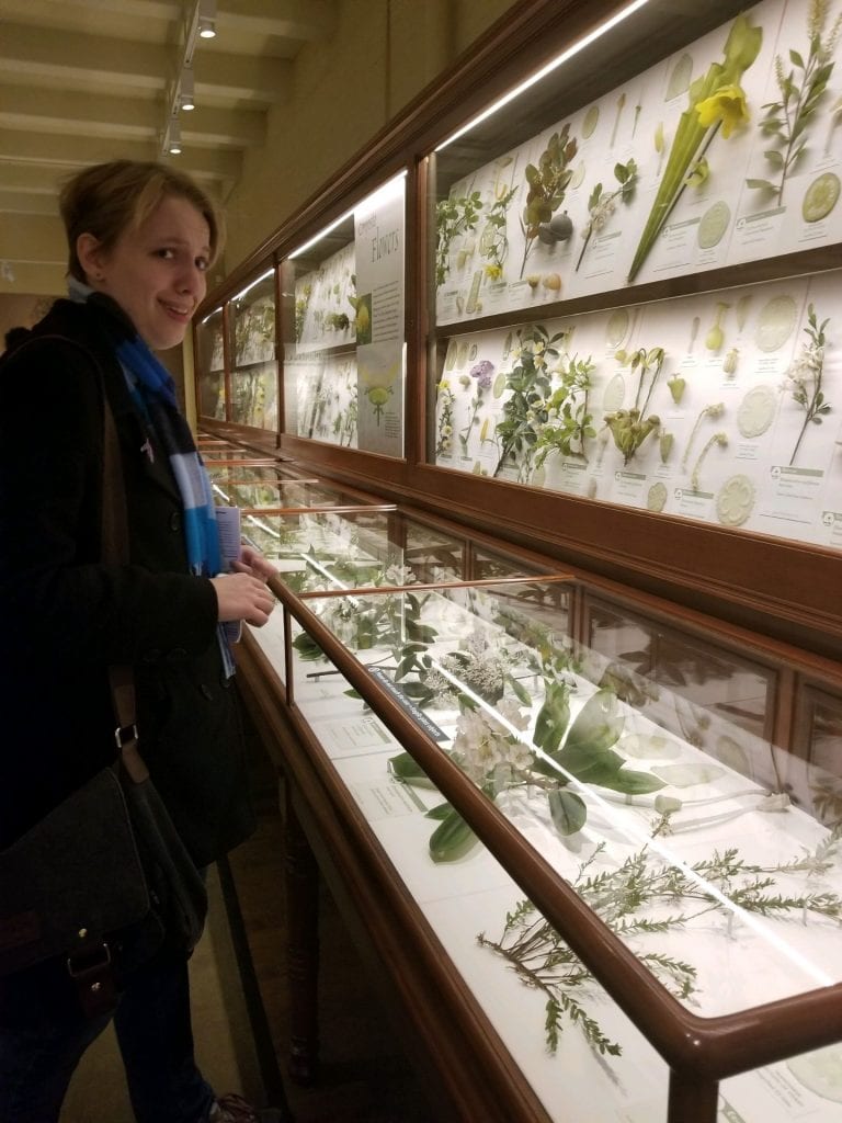 10 Things To Do In Wellesley