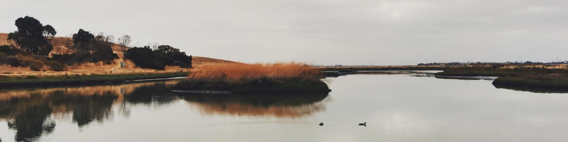 10 Things To Do In Menlo Park