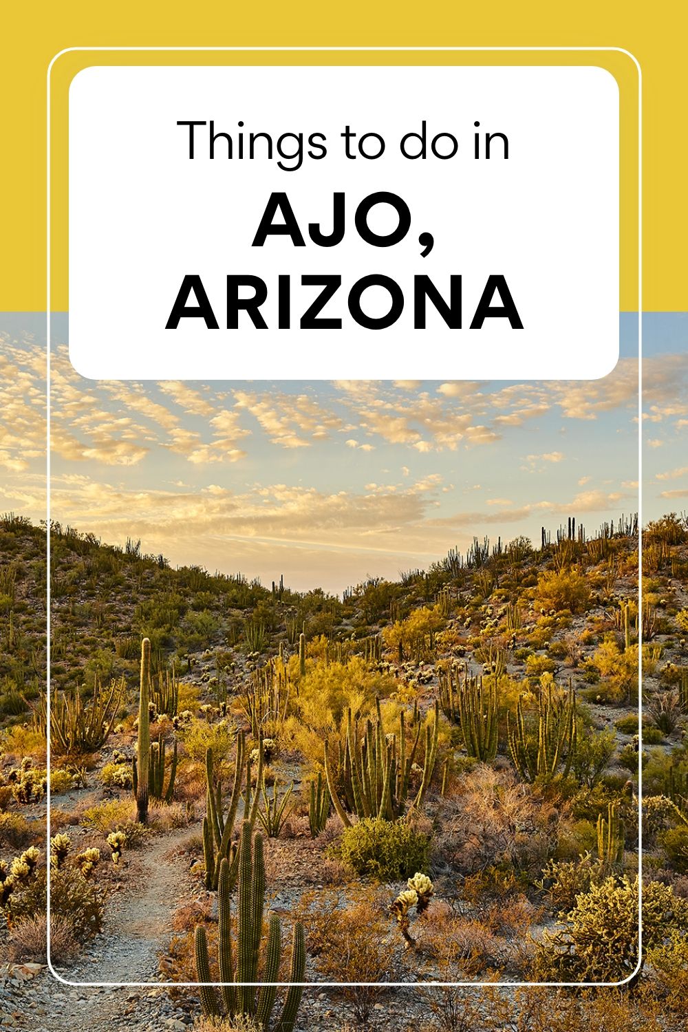 10 Things To Do In Ajo