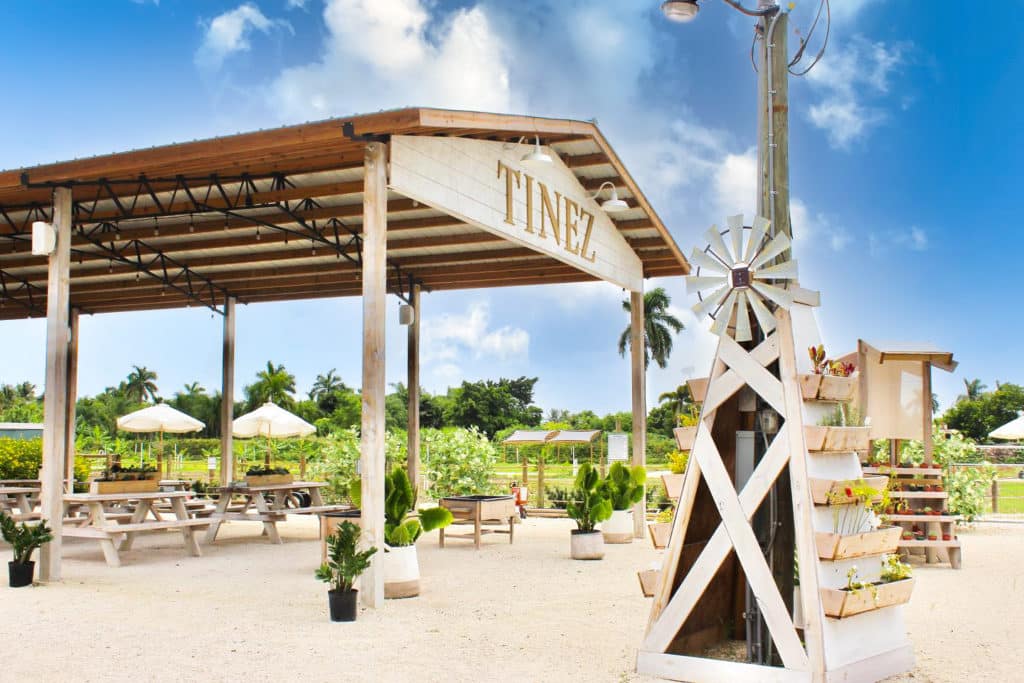 10 Things To Do In Homestead