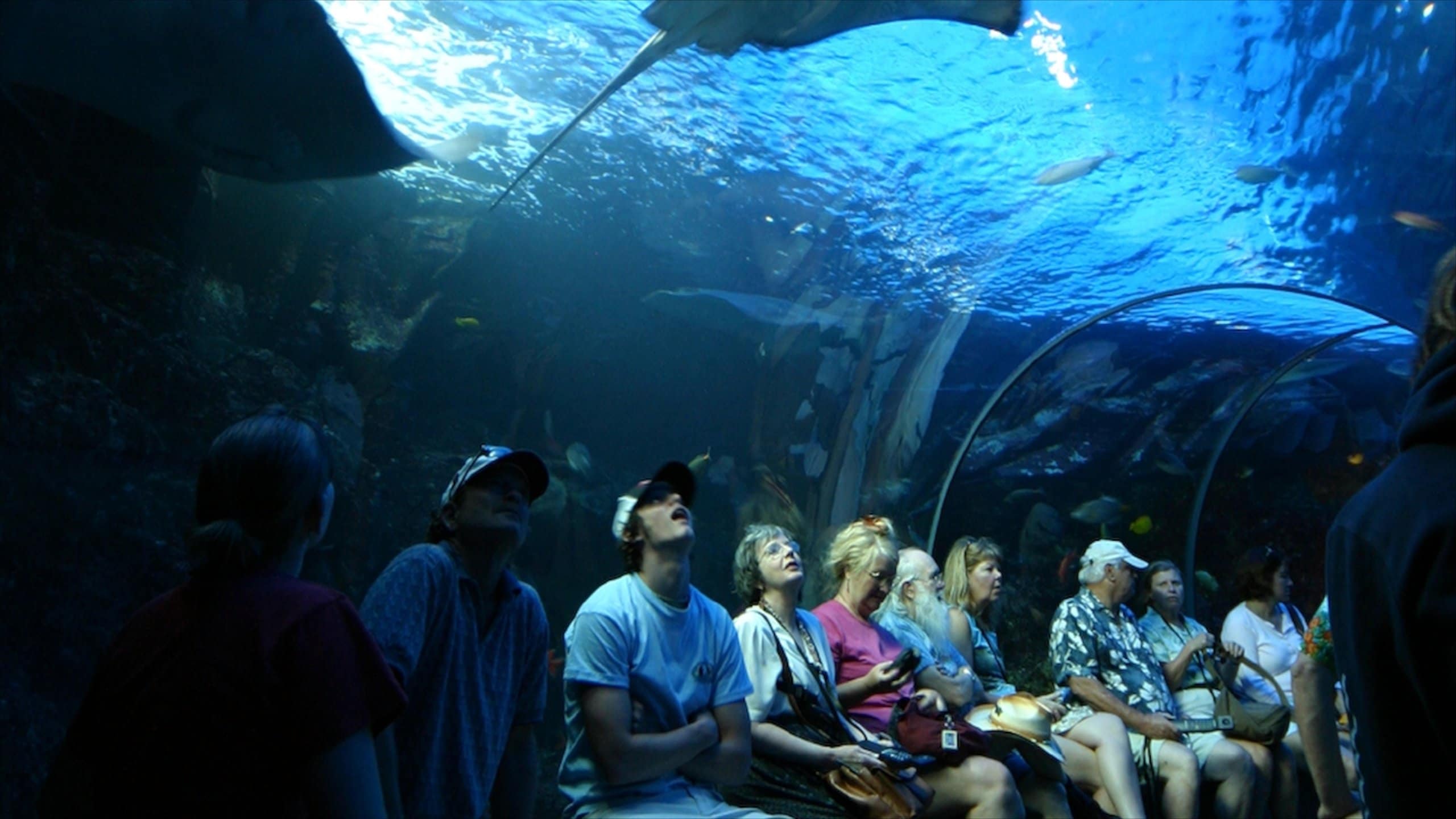 10 Things To Do In Wailuku