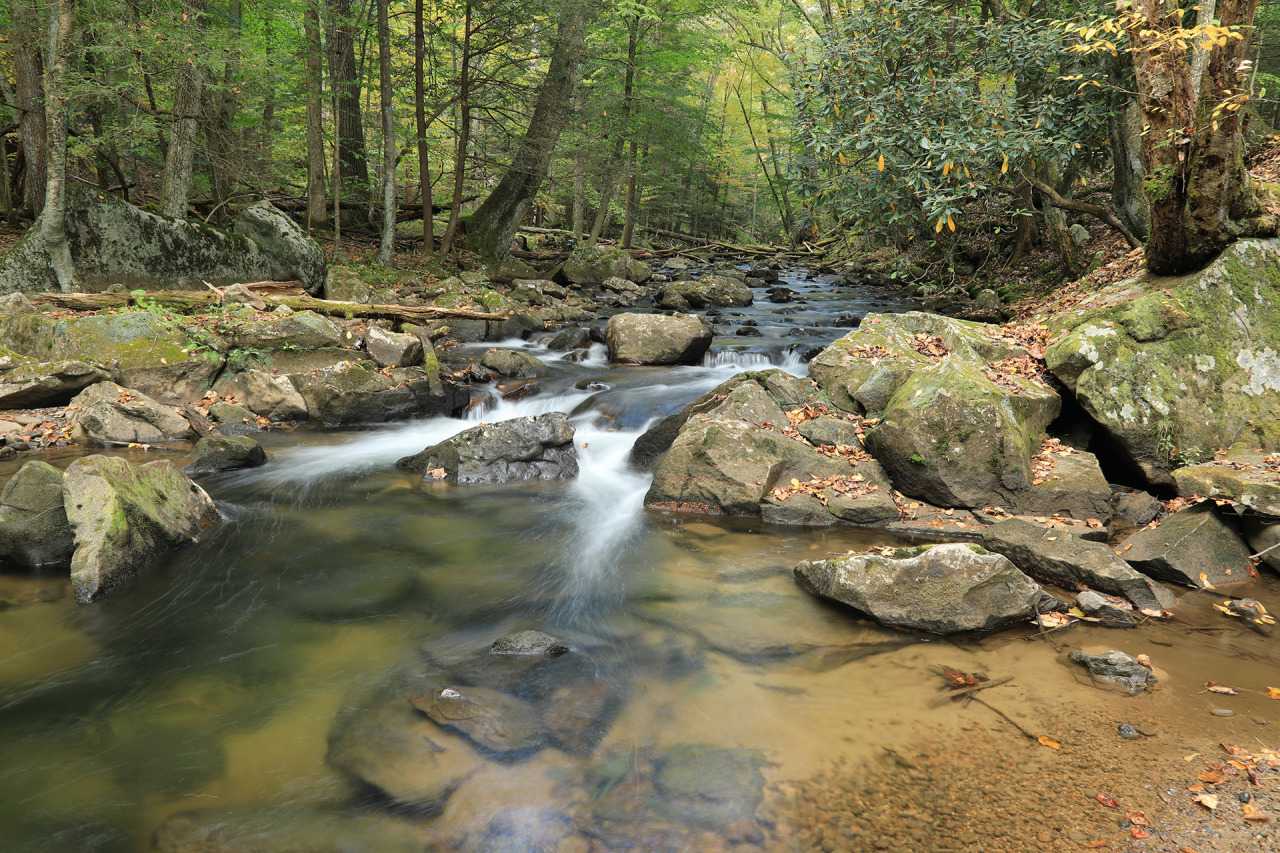 10 Things To Do In Vandalia