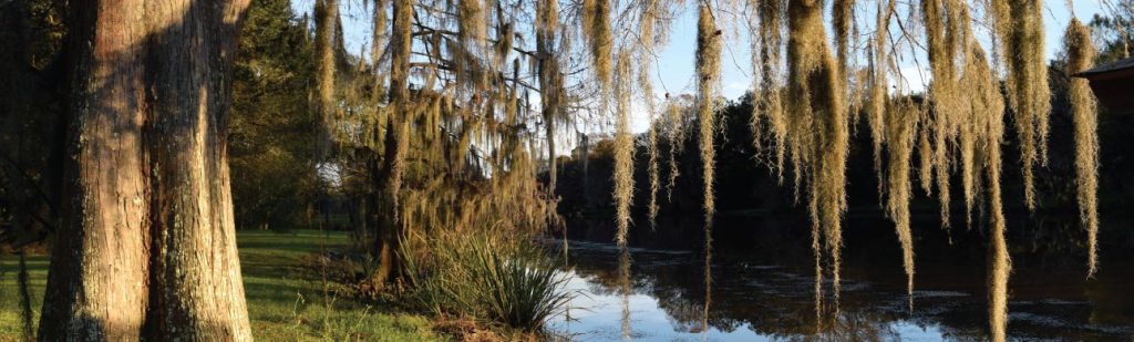 10 Things To Do In New Iberia