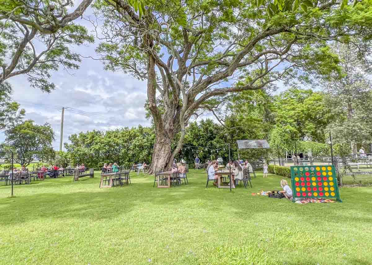 10 Things To Do In Boonesborough