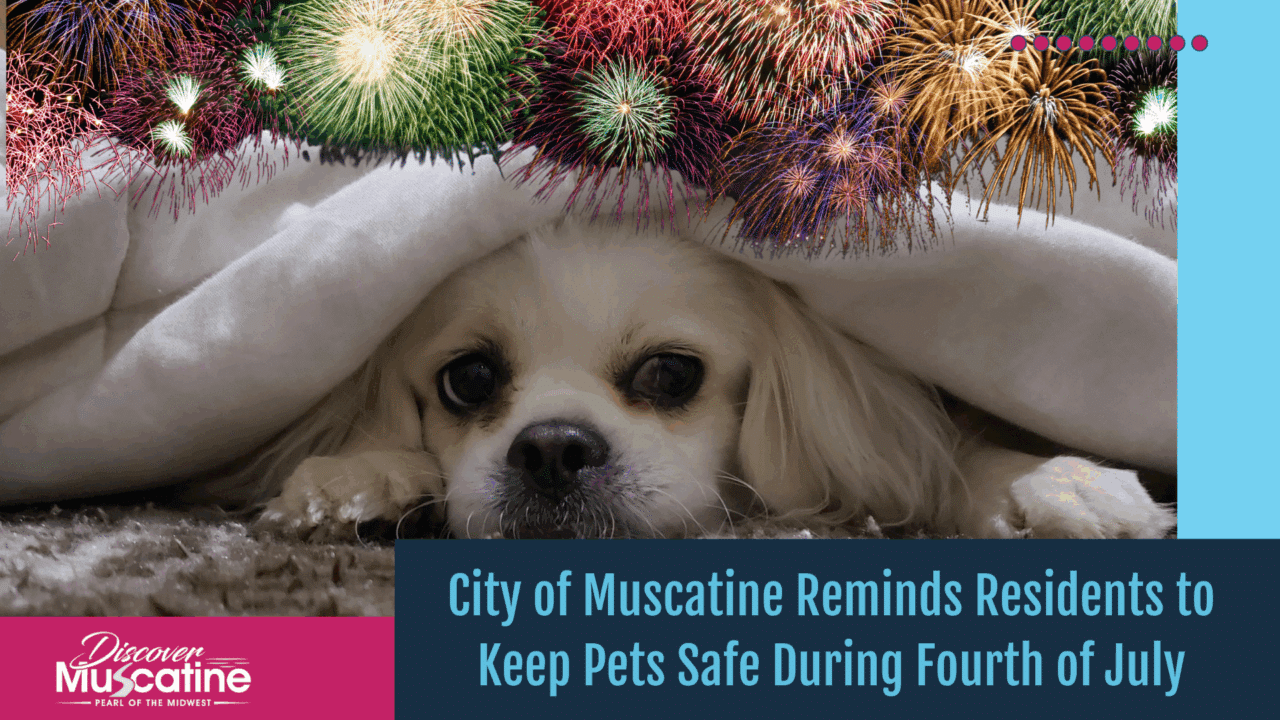 10 Things To Do In Muscatine