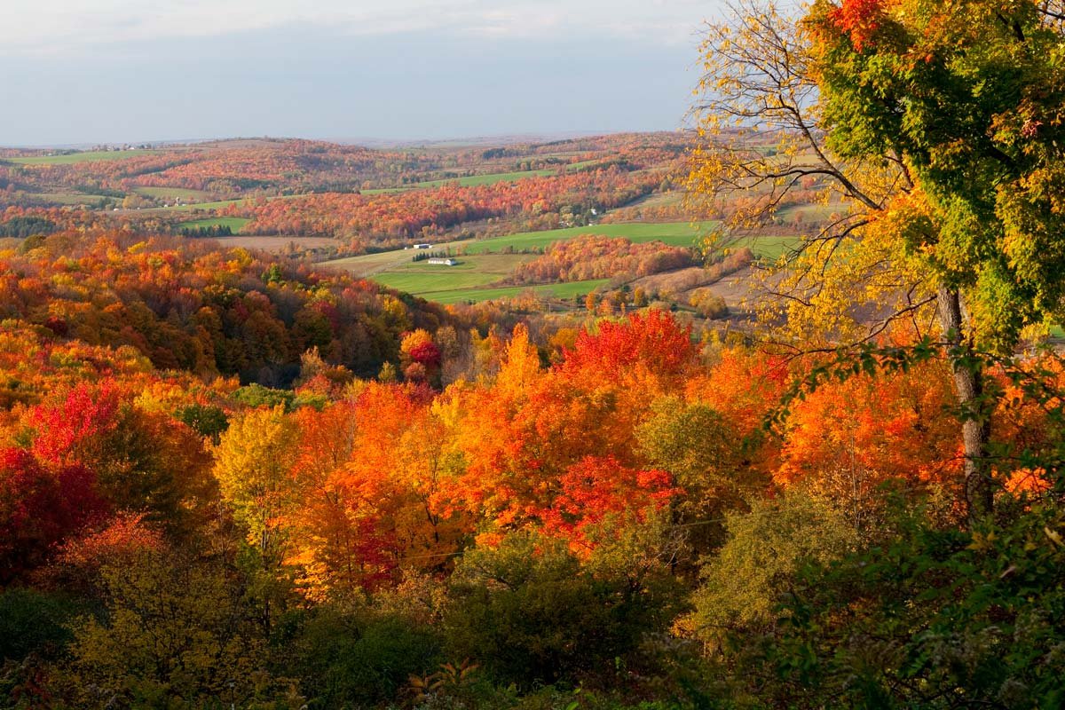 10 Things To Do In Cortland