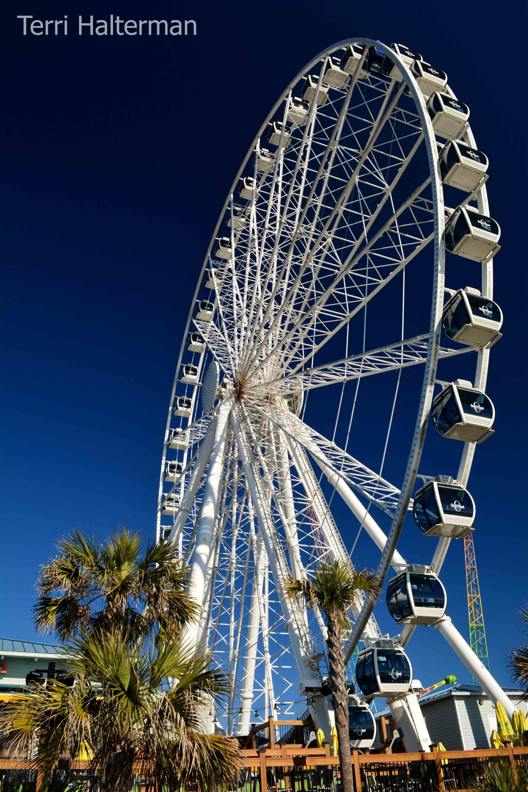 10 Things To Do In Myrtle Beach