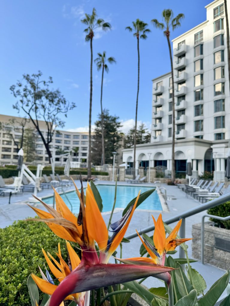 10 Things To Do In Costa Mesa