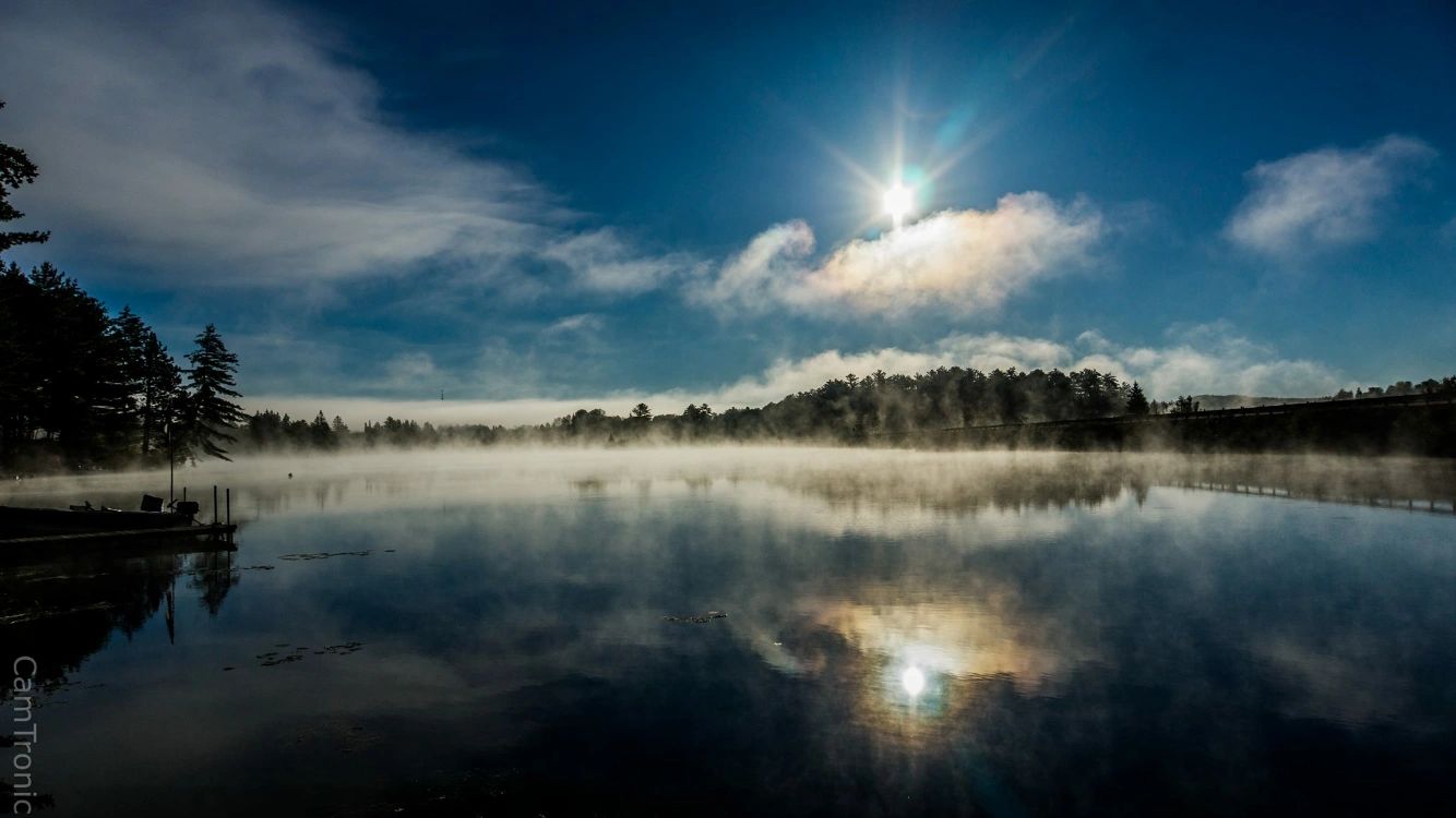 10 Things To Do In Lakeview