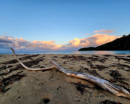 10 Things To Do In Bloomfield