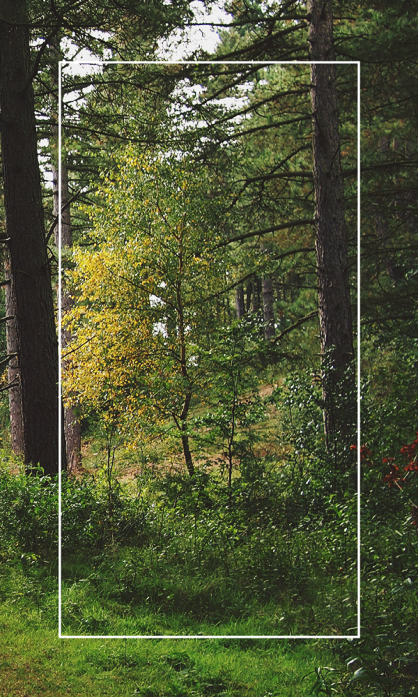 10 Things To Do In Amana Colonies