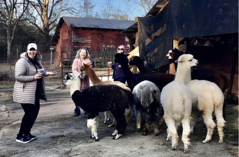 10 Things To Do In Calhoun