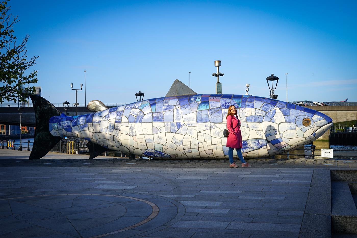 10 Things To Do In Belfast