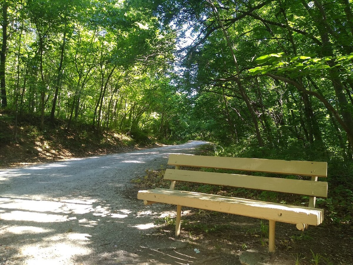 10 Things To Do In Joplin