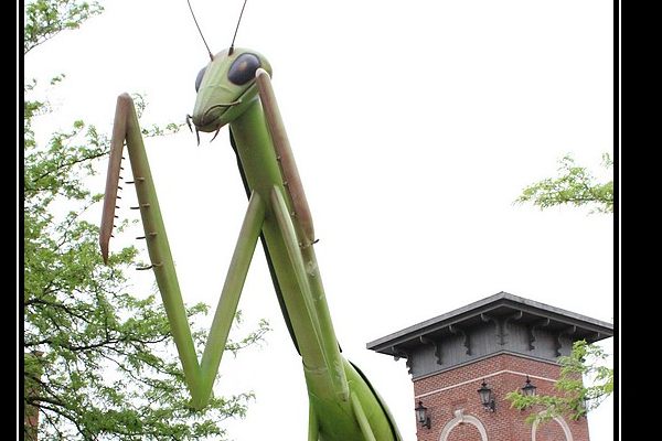 10 Things To Do In Kokomo