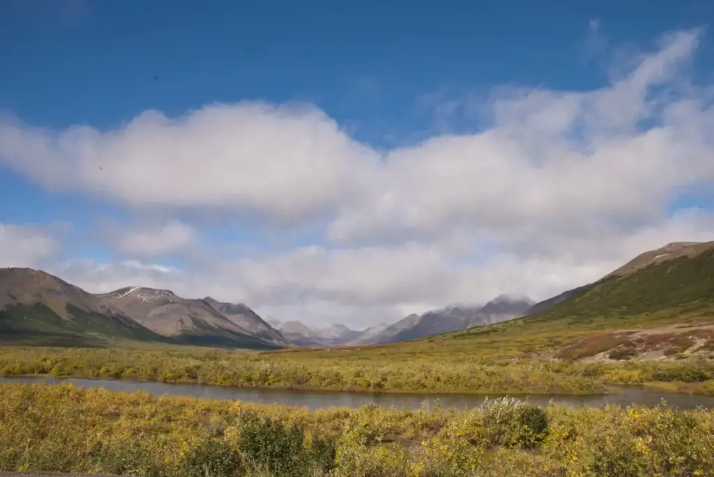 10 Things To Do In Nome