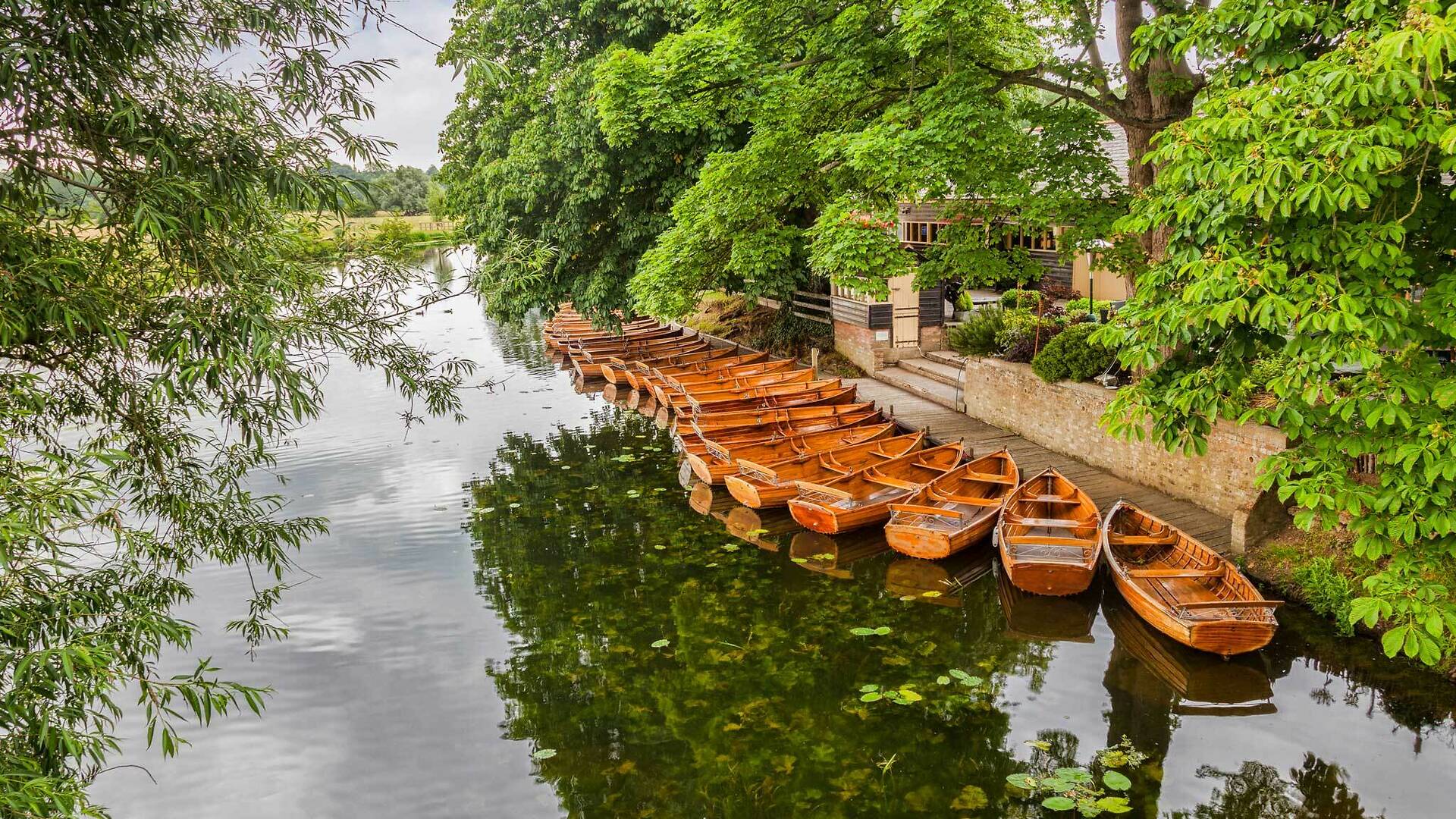 10 Things To Do In Dedham