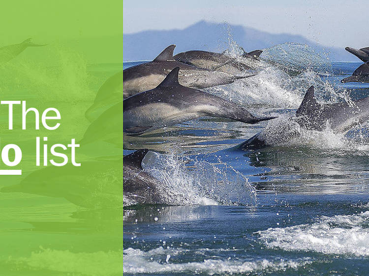 10 Things To Do In Monterey