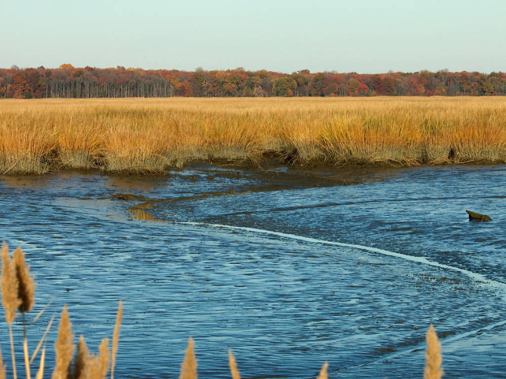 10 Things To Do In Delaware