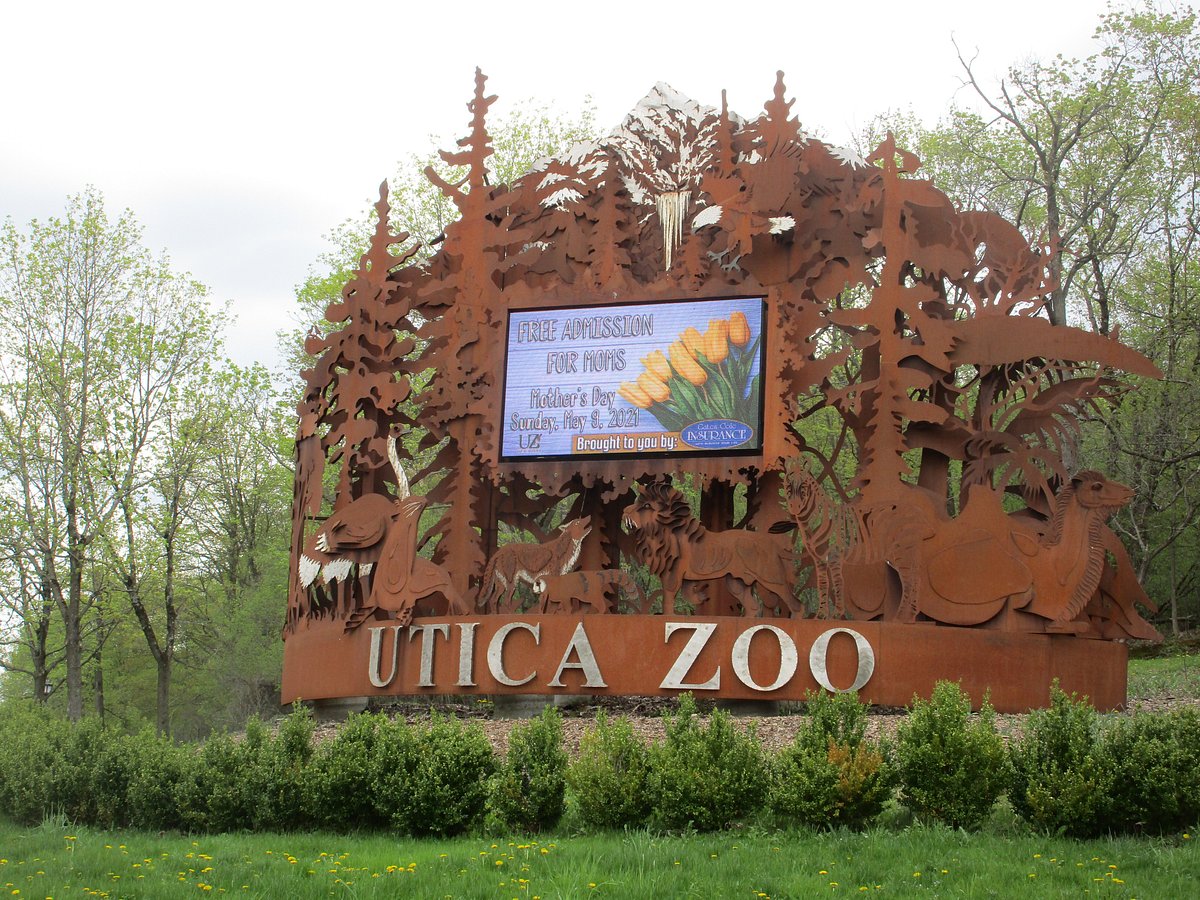10 Things To Do In Utica