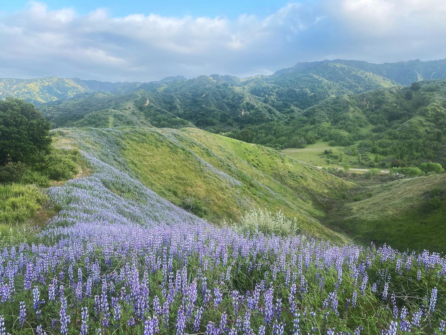 10 Things To Do In Santa Clarita