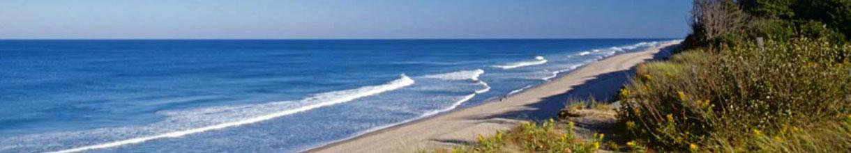 10 Things To Do In Wellfleet