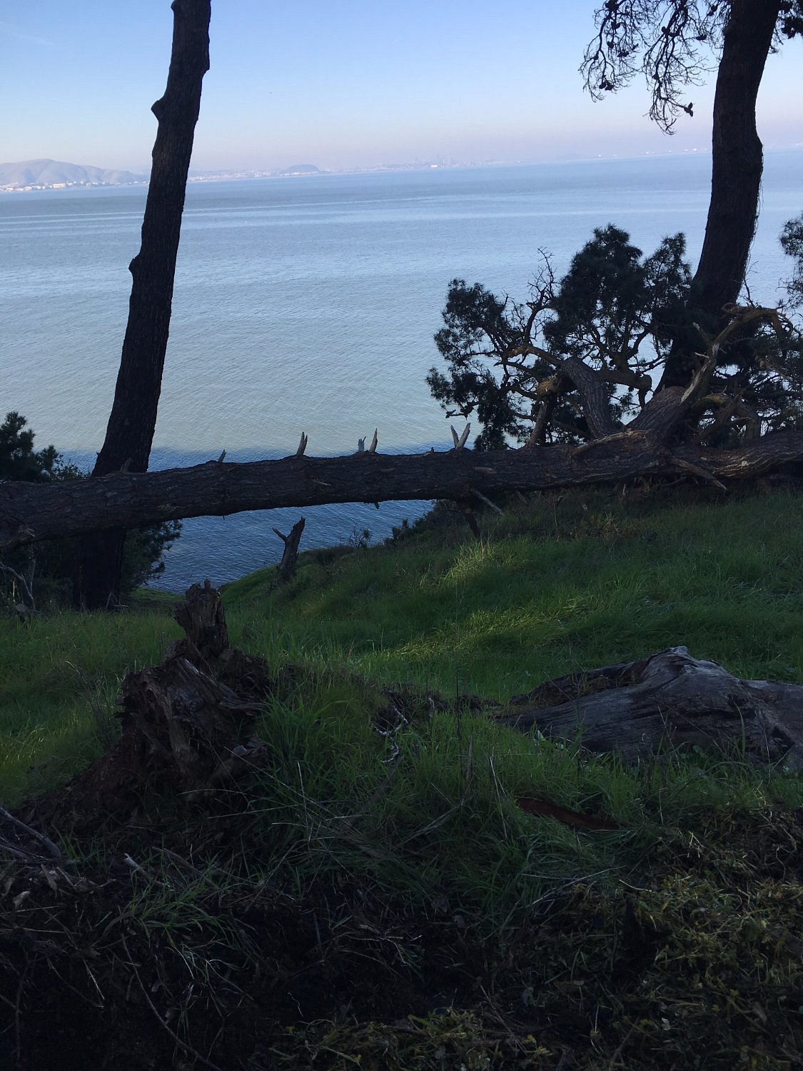 10 Things To Do In San Mateo