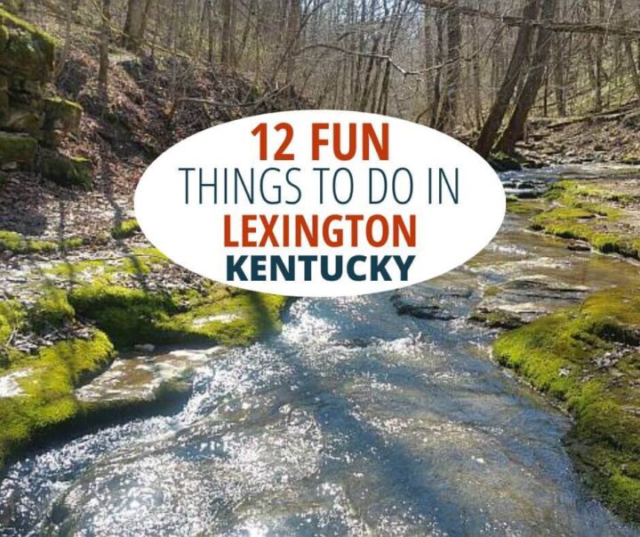 10 Things To Do In Lexington