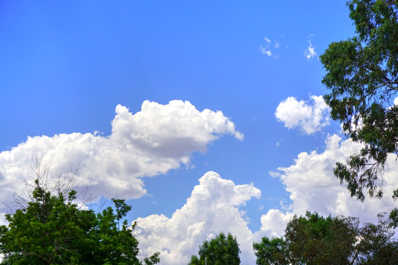 10 Things To Do In Murray