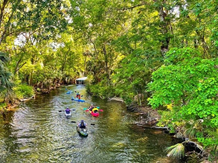 10 Things To Do In Ocala