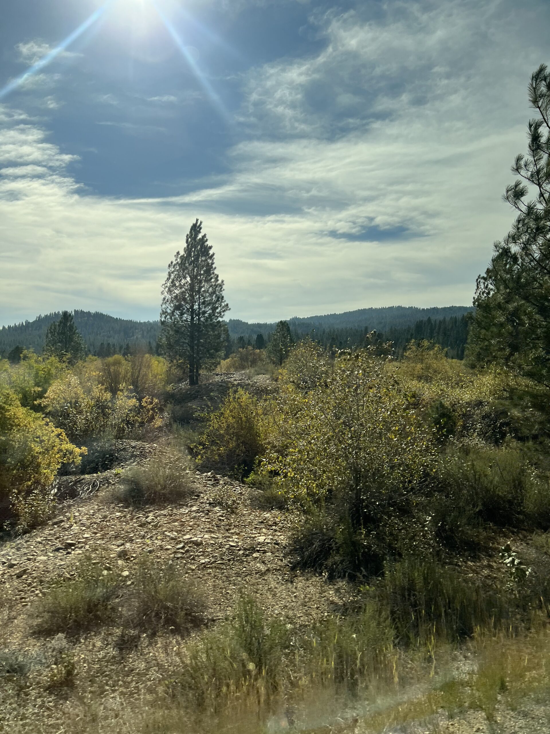 10 Things To Do In Idaho City