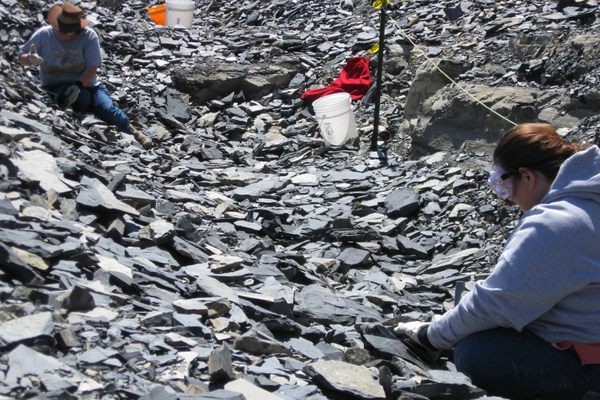 10 Things To Do In Delta