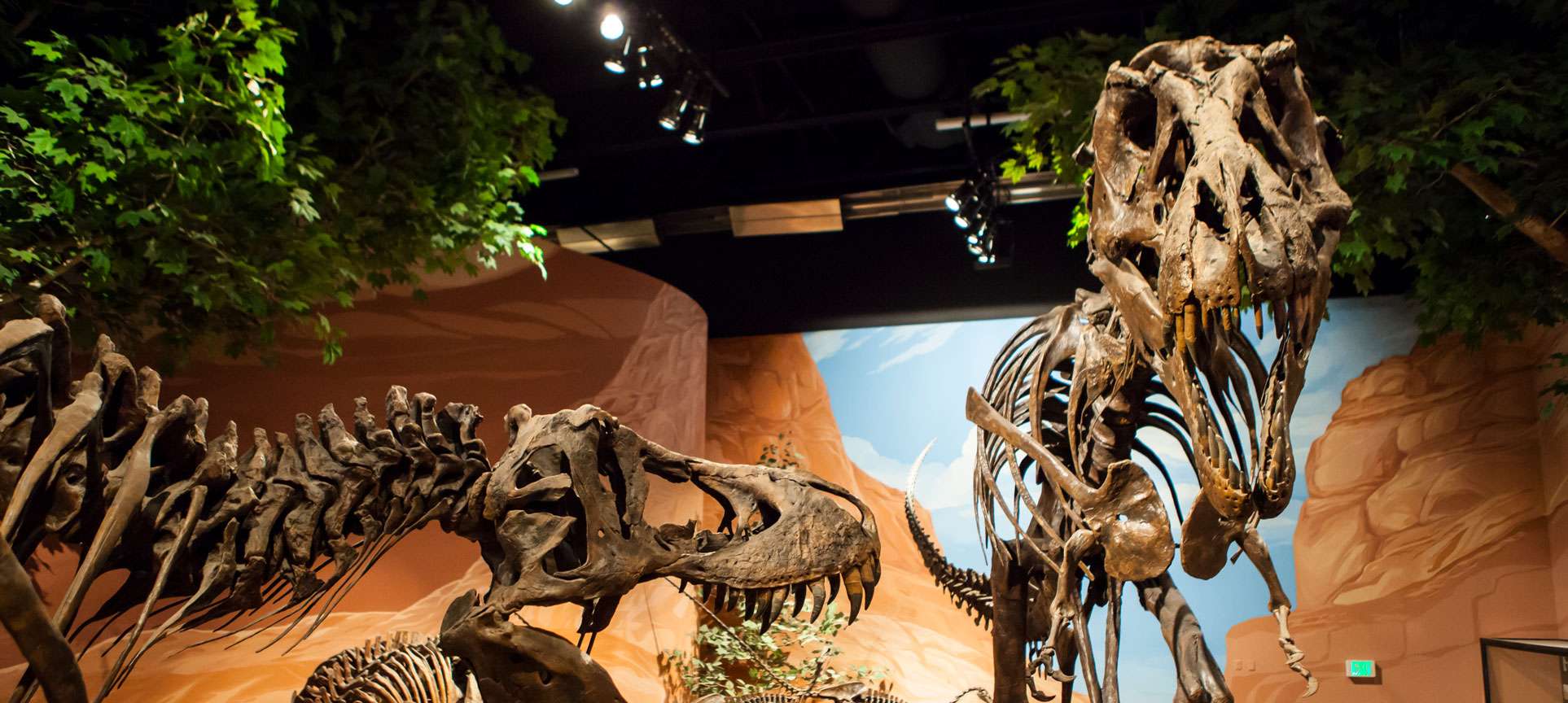 10 Things To Do In Lehi