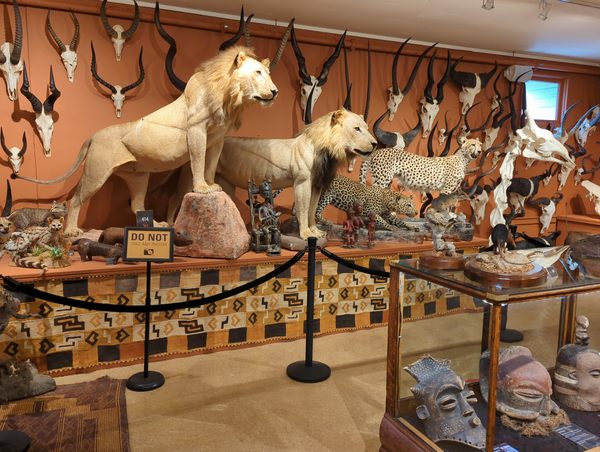 10 Things To Do In Duncan