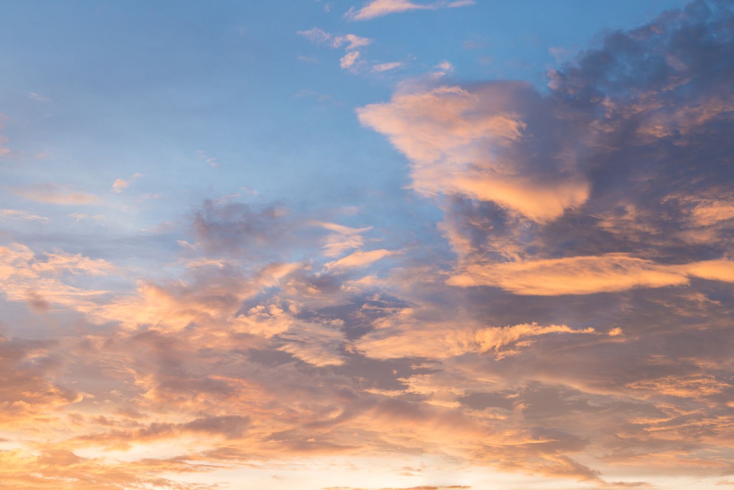 10 Things To Do In Hartsville