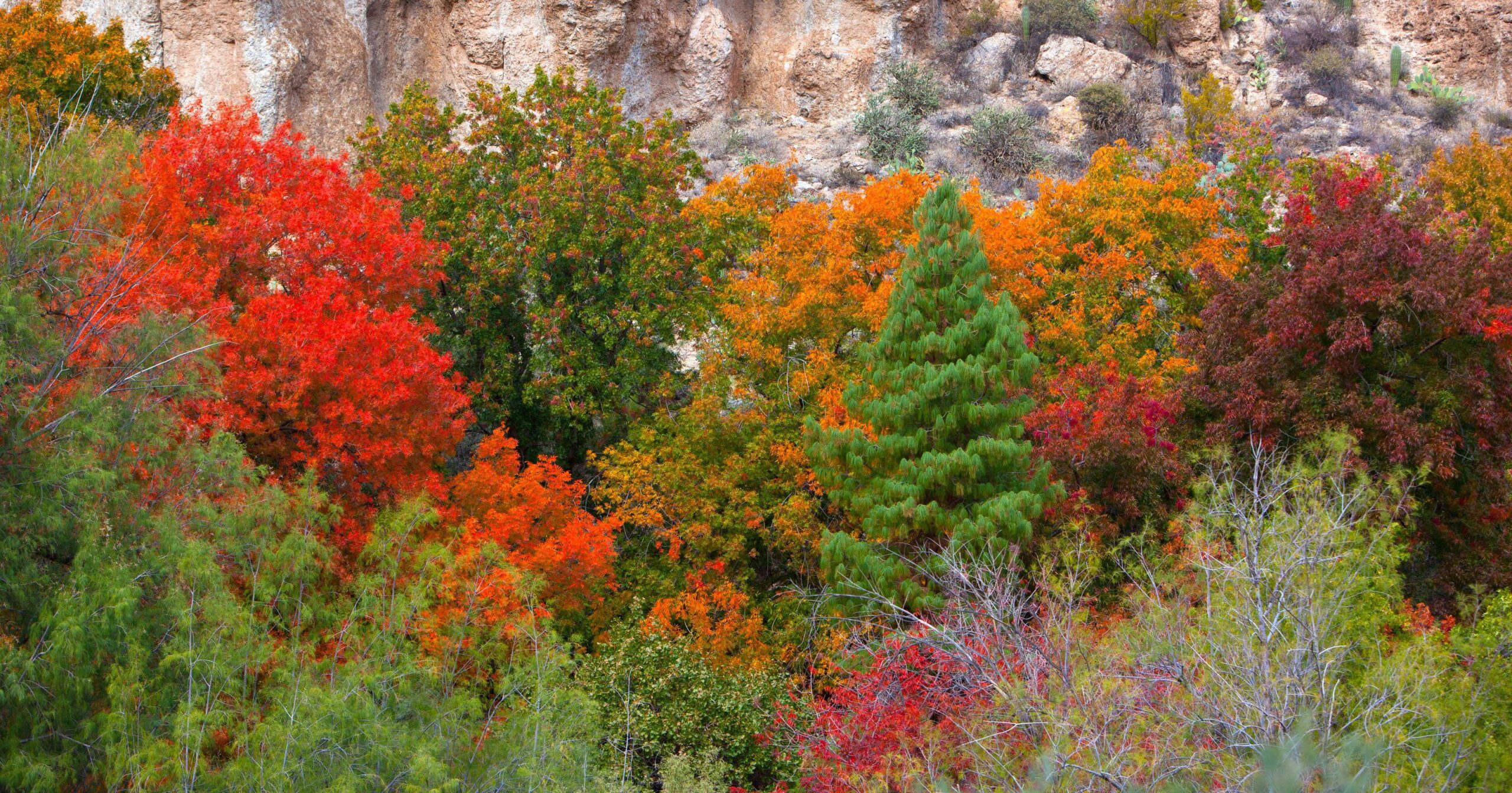 10 Things To Do In Payson