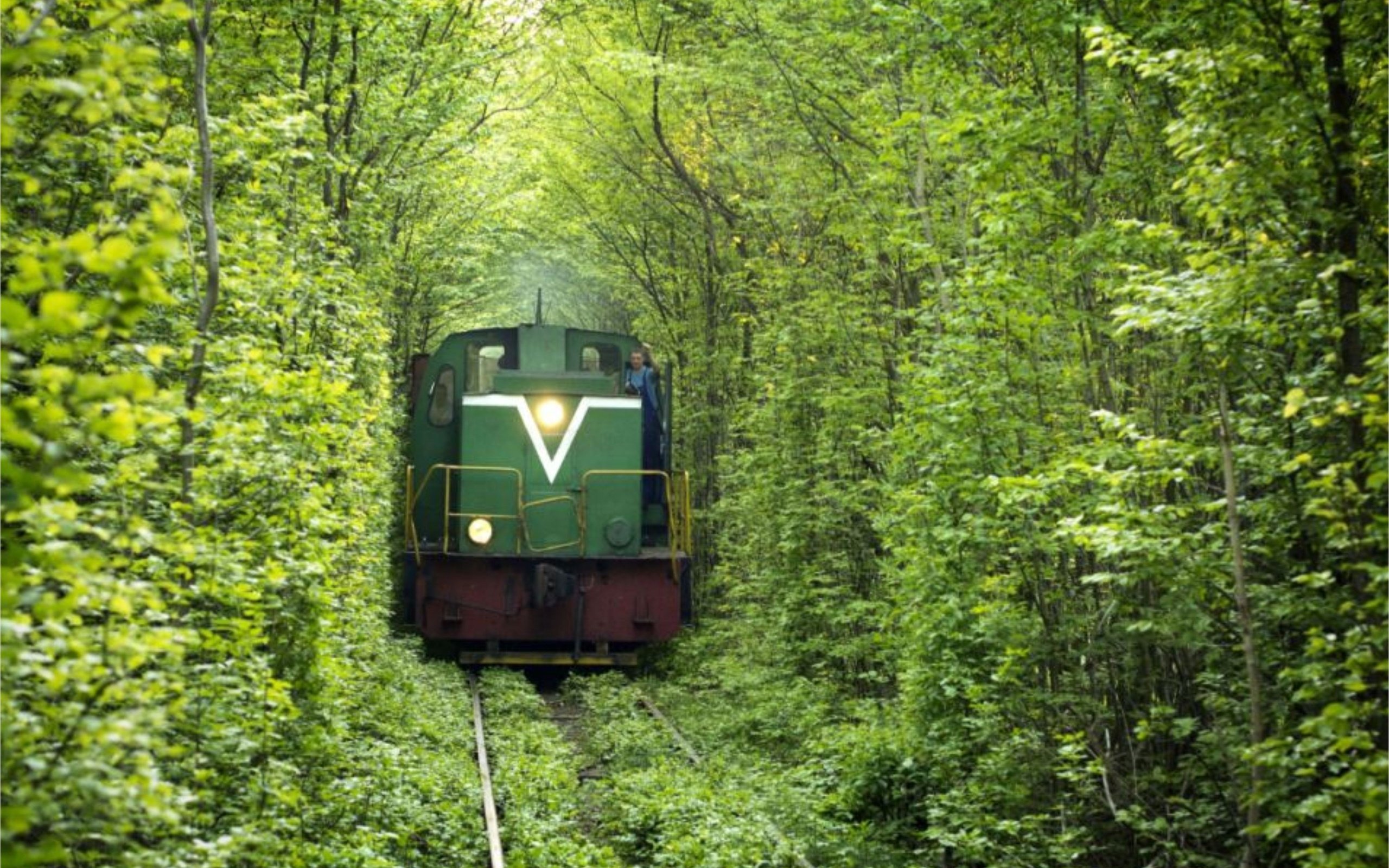 The Tunnel of Love in Ukraine (Train Ride)