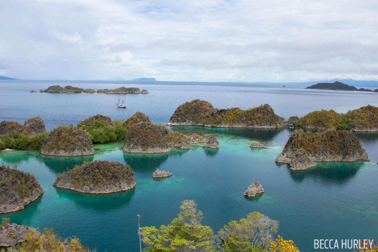 The Ultimate Scuba Diving Guide to Raja Ampat