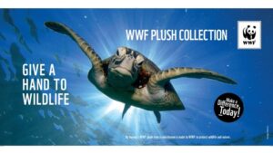 8 Best Wildlife Conservation Organizations You Can Visit (WWF Wildlife SOS The Reef-World)